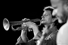 Kollektiv Nights #12